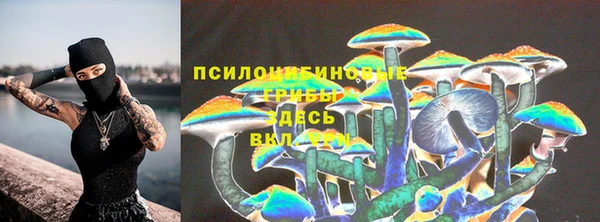 круглые Новодвинск